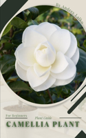 Camellia Plant