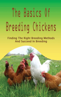 The Basics Of Breeding Chickens