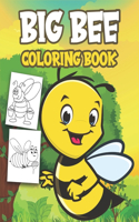 Big Bee Book