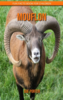 Mouflon