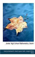 Junior High School Mathematics, Book I