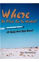 Where Do Flies Go In Winter?: A Gulf War Spy Novel(English)