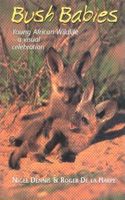 Bushbabies
