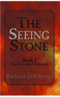 The Seeing Stone: The Firestorm Chronicles, Book I