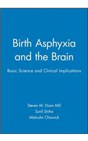 Birth Asphyxia and the Brain