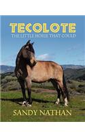 Tecolote