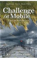 Challenge in Mobile: A Dave and Katie Adventure