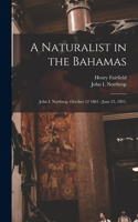 Naturalist in the Bahamas