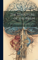 Structure of the Brain