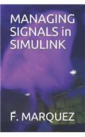 MANAGING SIGNALS in SIMULINK
