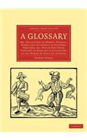 A Glossary