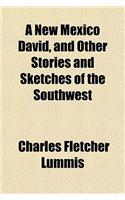 A New Mexico David, and Other Stories and Sketches of the Southwest