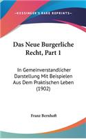 Das Neue Burgerliche Recht, Part 1