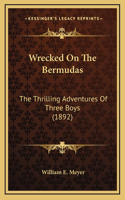 Wrecked On The Bermudas: The Thrilling Adventures Of Three Boys (1892)