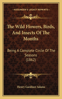 Wild Flowers, Birds, And Insects Of The Months