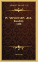 Die Naturliche Und Die Ubliche Bilanzform (1903)