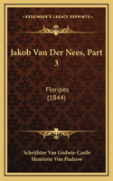 Jakob Van Der Nees, Part 3