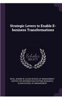 Strategic Levers to Enable E-business Transformations
