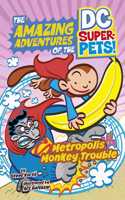 Metropolis Monkey Trouble