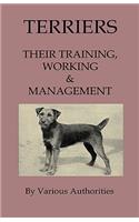 Terriers - Their Training, Work & Management