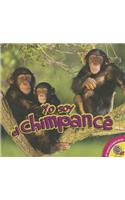 Yo Soy el Chimpance: (Yo Soy)