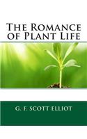 The Romance of Plant Life