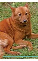 Finnish Spitz Affirmations Workbook Finnish Spitz Presents: Positive and Loving Affirmations Workbook. Includes: Mentoring Questions, Guidance, Supporting You.