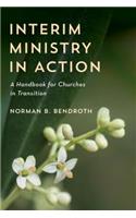 Interim Ministry in Action