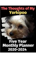 The Thoughts of My Yorkipoo