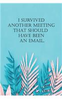 I Survived Another Meeting That Should Have Been An Email.: Coworker Notebook (Funny Office Journals)- Lined Blank Notebook Journal
