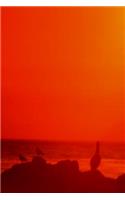 2020 Daily Planner Orange Sky Sunset 388 Pages