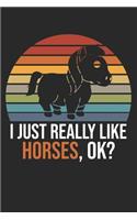 I Just Really Like Horses, OK?
