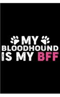 My Bloodhound Is My BFF