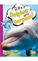 Is It a Dolphin or a Porpoise?: (Can You Tell the Difference?)