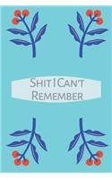 Shit I Can't Remember