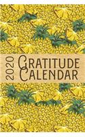 2020 Gratitude Calendar