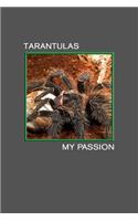 Tarantulas my Passion: Lasiodora Parahybana, Giant Spider. Format A5, 120 pages, fine light grey lined. Notebook, journal, diary, gift idea for tarantula lovers