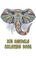 Big Mandala Coloring Book