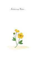 Buttercup Notes: 6"x9" Unruled Blank Notebook - Watercolor Texture Nature Garden Flower Illustration Cover. Matte Softcover And White Interior Papers.