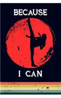 Because I Can