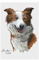 Border Collie Notebook