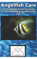 Angelfish Care