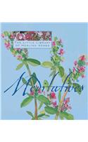 Meditatives: (Little Library of Healing Herbs)