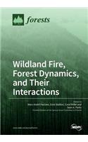 Wildland Fire, Forest Dynamics, and Their Interactions