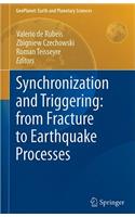 Synchronization and Triggering: from Fracture to Earthquake Processes: Laboratory, Field Analysis and Theories(GeoPlanet: Earth and Planetary Sciences)