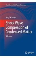 Shock Wave Compression of Condensed Matter