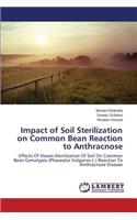 Impact of Soil Sterilization on Common Bean Reaction to Anthracnose