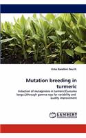 Mutation breeding in turmeric
