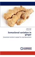 Somaclonal variation in ginger