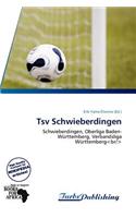 Tsv Schwieberdingen